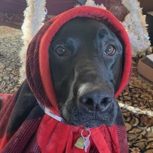 Meet your Posher, John